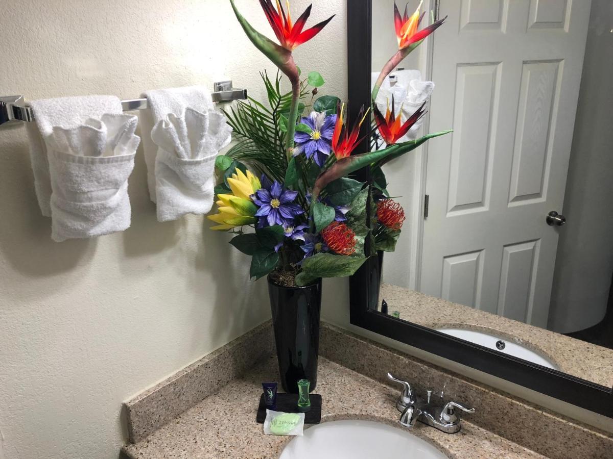 Econo Lodge Choice Hotels I 95 Savannah Gateway 24 Hour Fitness Center On Site Guest Laundry On Site Perkins Restaurant Georgetown Ngoại thất bức ảnh